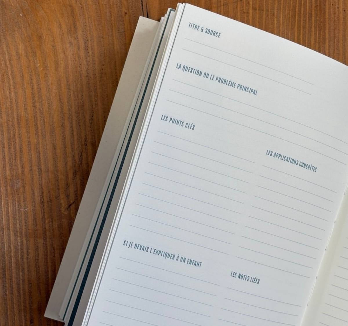 carnet de la curiosite zoom page de notes